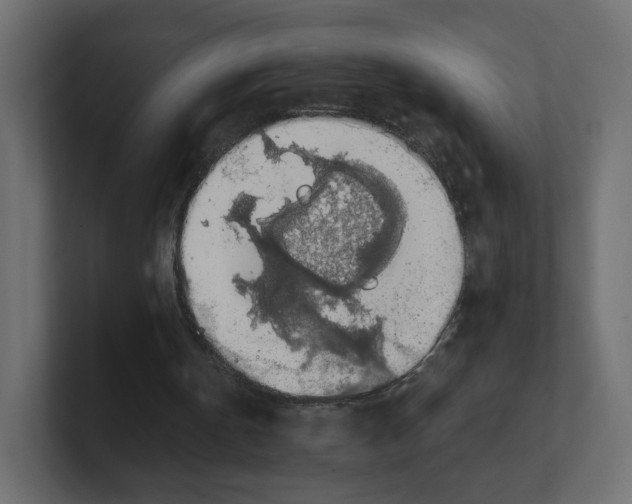 X0000100370146200806271451