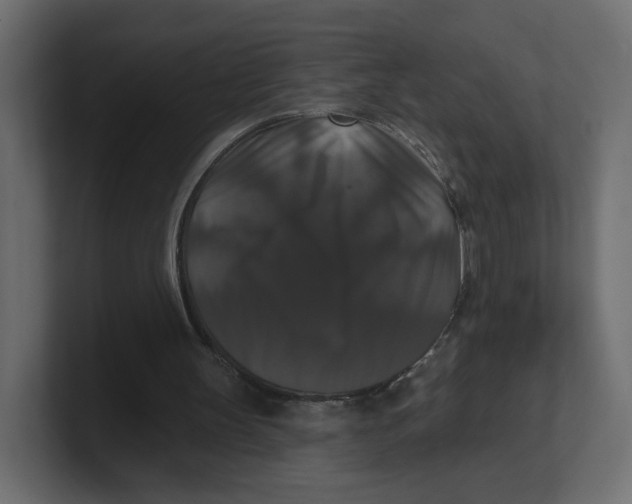 X0000100370147200806271451