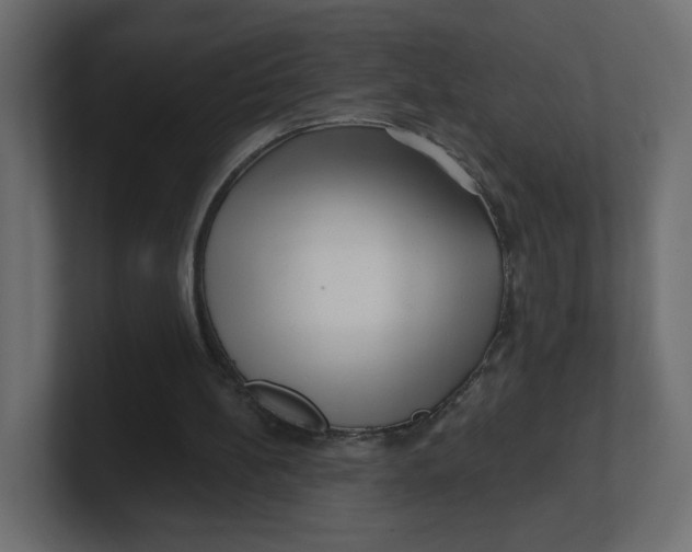 X0000100370148200806271451