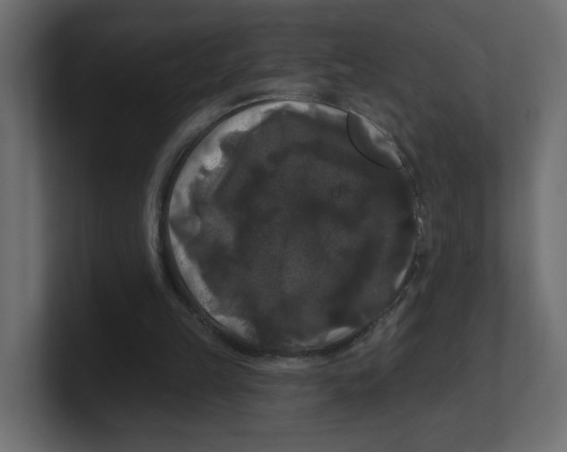 X0000100370149200806271451