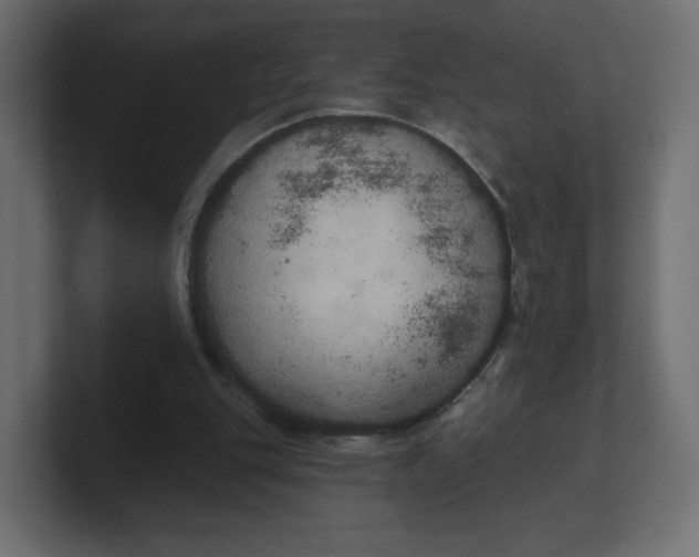 X0000100370151200806271451