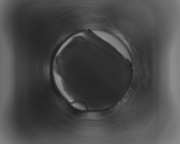 X0000100370154200806271451