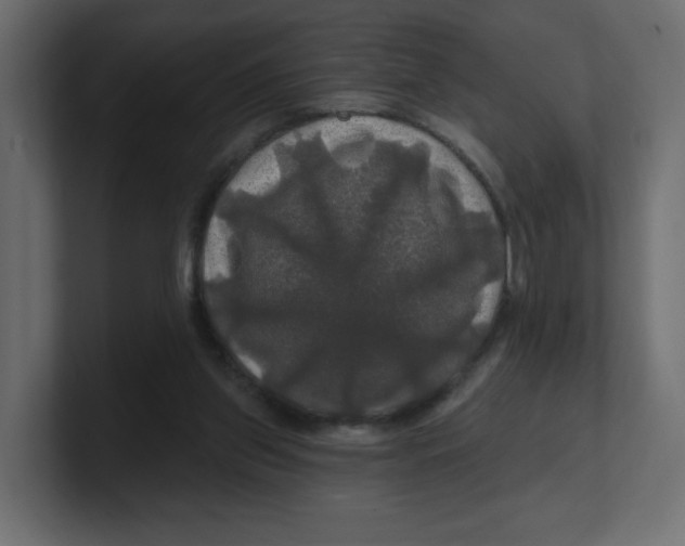 X0000100370157200806271451