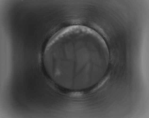 X0000100370161200806271451