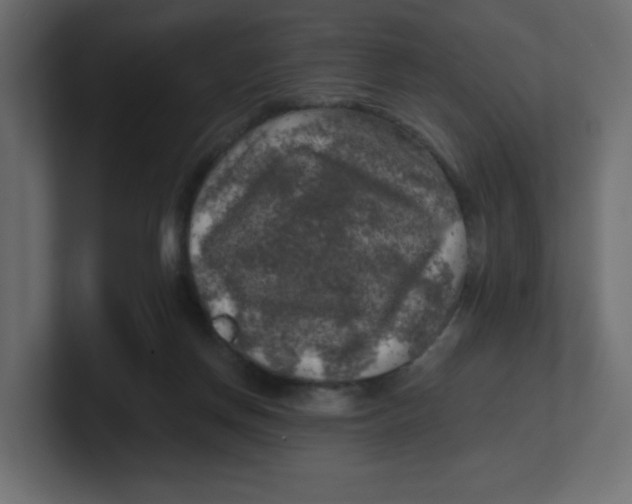 X0000100370166200806271451