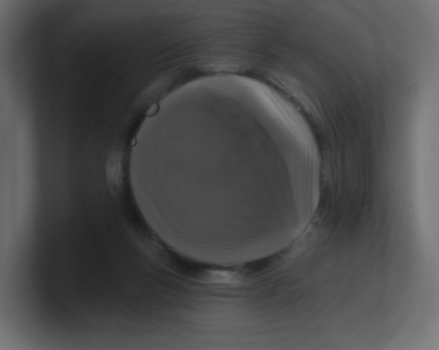 X0000100370167200806271451