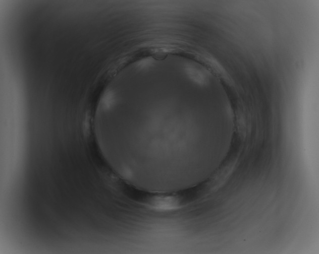 X0000100370169200806271451