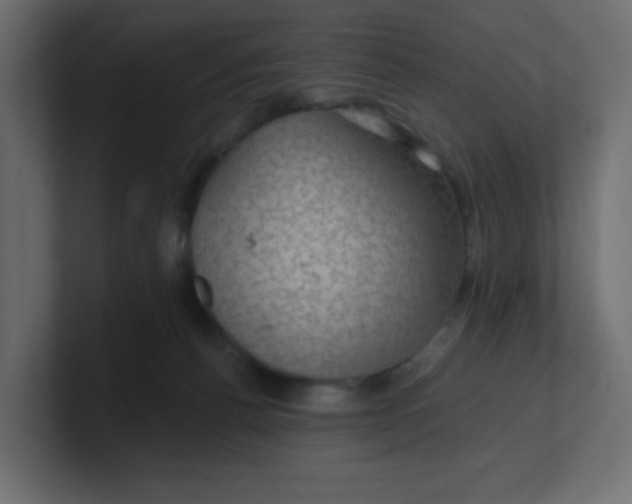 X0000100370176200806271451