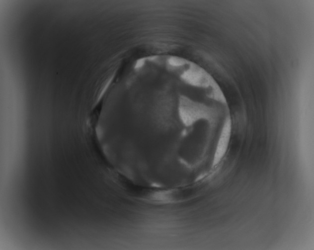 X0000100370178200806271451