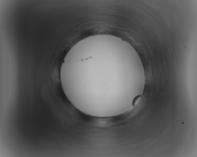 X0000100370187200806271451