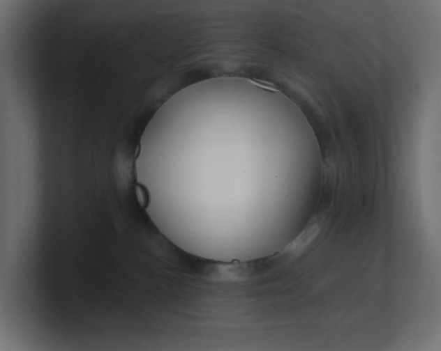 X0000100370188200806271451