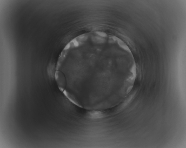 X0000100370189200806271451