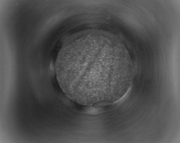 X0000100370191200806271451