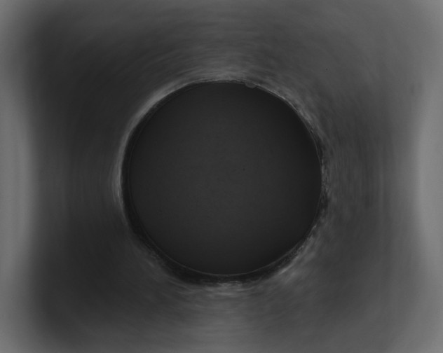 X0000100370196200806271451