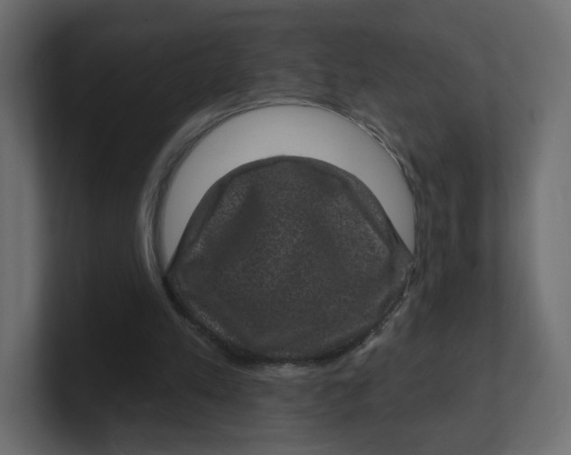 X0000100370197200806271451