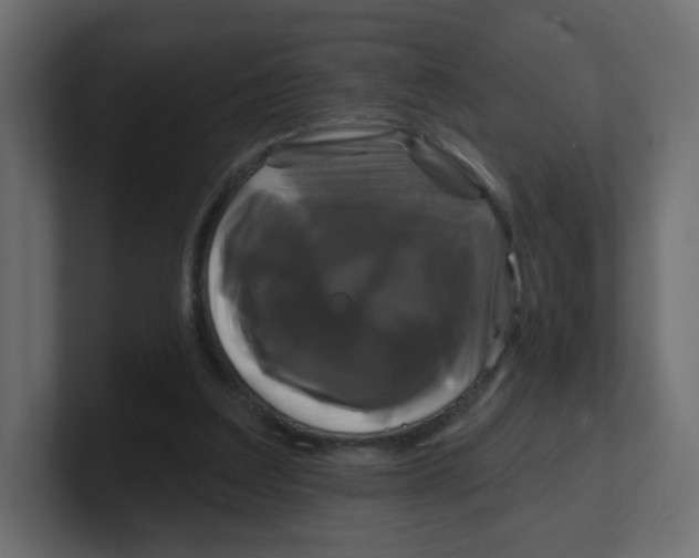 X0000100370203200806271451