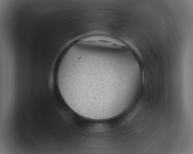 X0000100370204200806271451