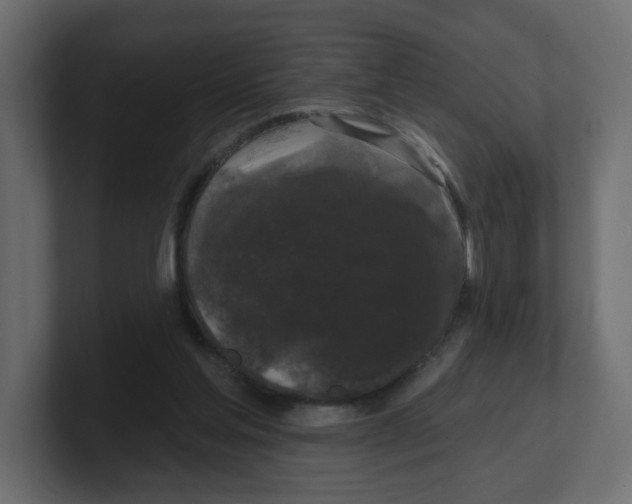 X0000100370205200806271451