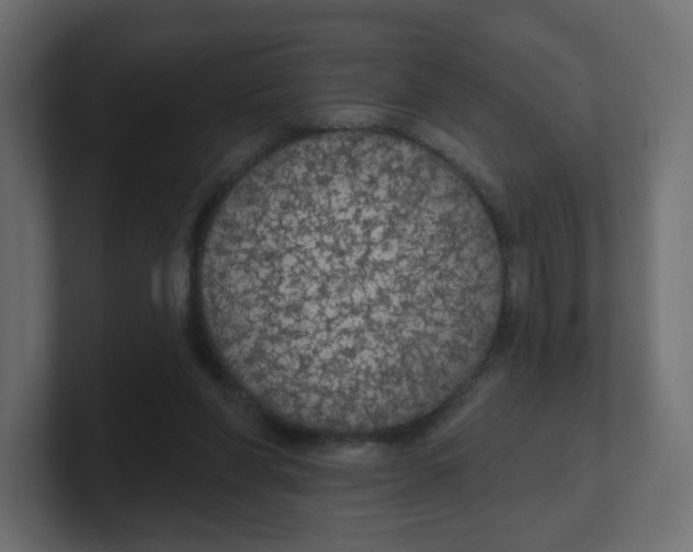 X0000100370206200806271451