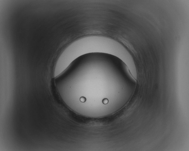 X0000100370207200806271451