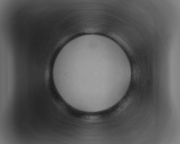 X0000100370208200806271451