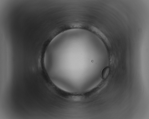 X0000100370209200806271451