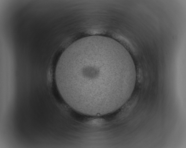 X0000100370210200806271451