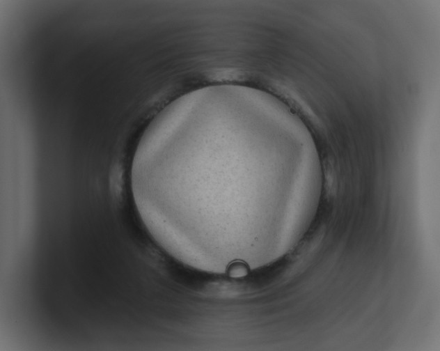 X0000100370211200806271451