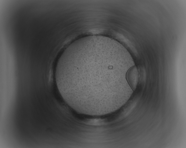 X0000100370212200806271451