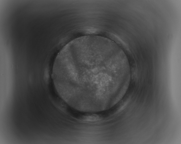 X0000100370215200806271451