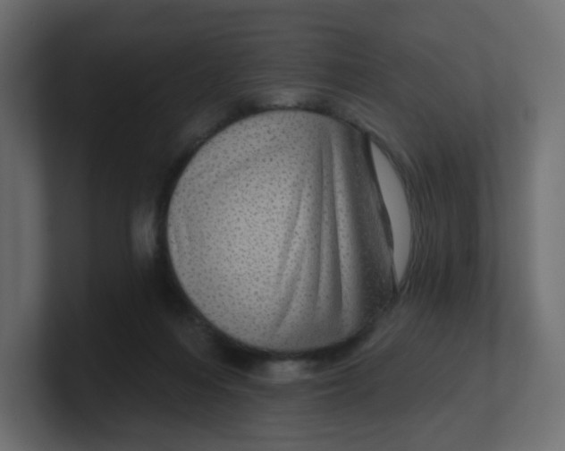 X0000100370216200806271451