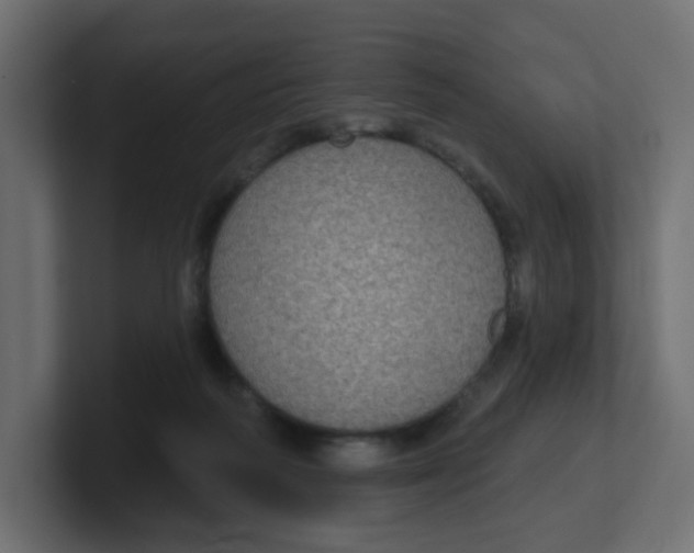 X0000100370218200806271451