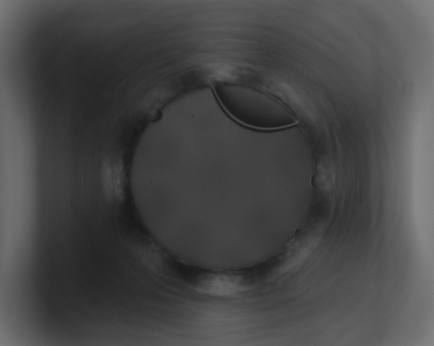 X0000100370223200806271450