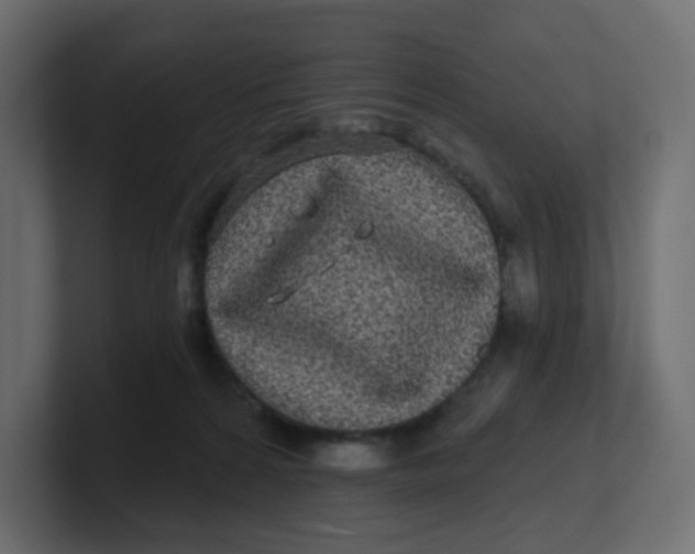 X0000100370224200806271450