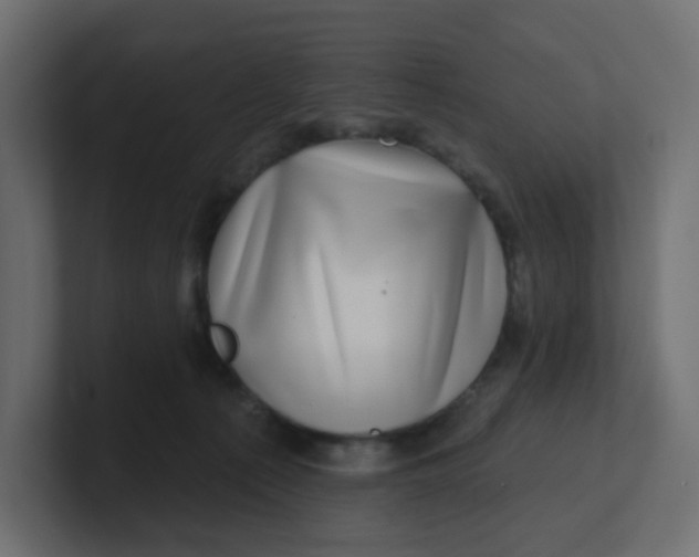 X0000100370225200806271450