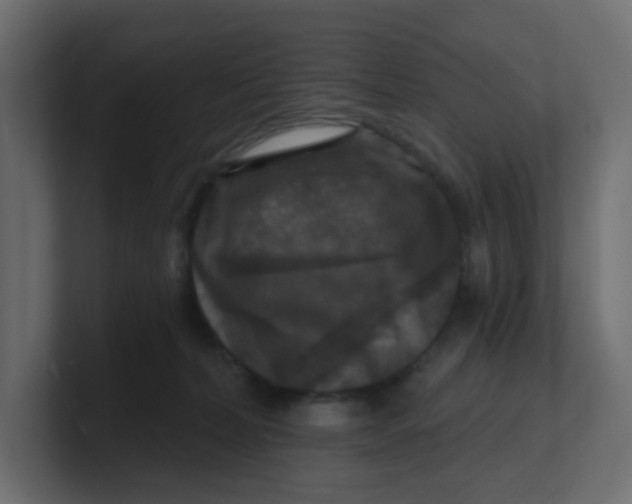 X0000100370228200806271450