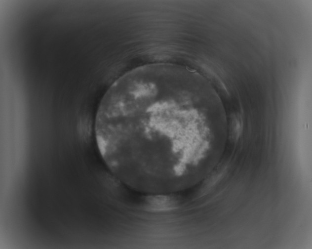 X0000100370230200806271450