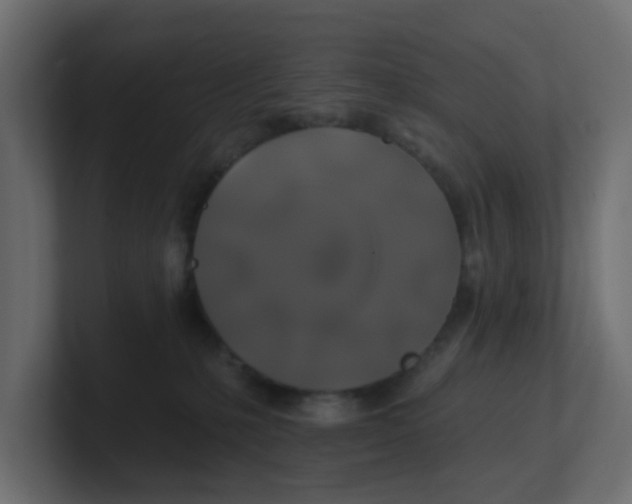 X0000100370231200806271450