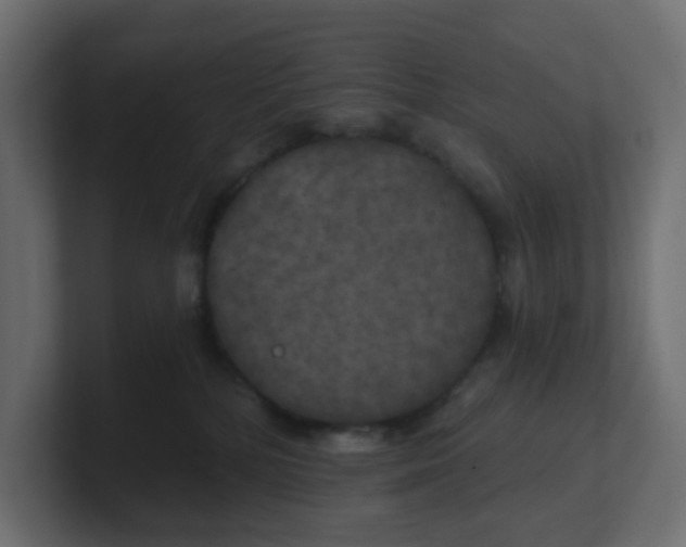 X0000100370232200806271450