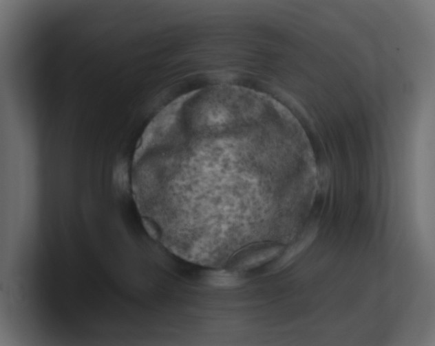 X0000100370238200806271450