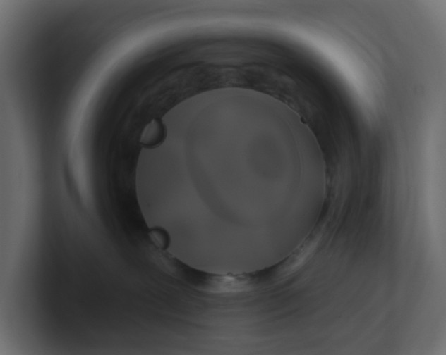 X0000100370239200806271450