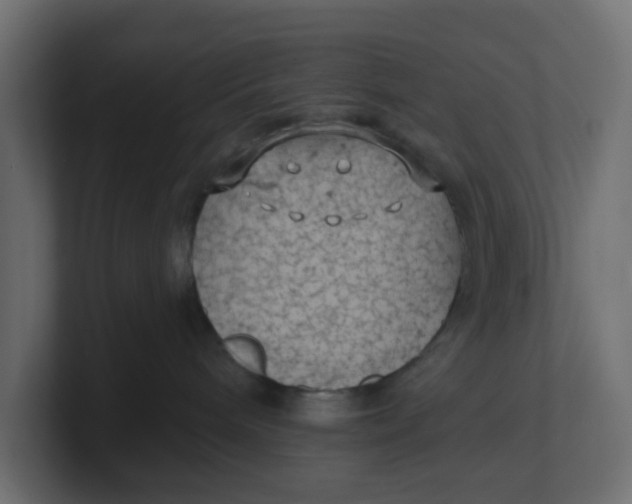 X0000100370240200806271450