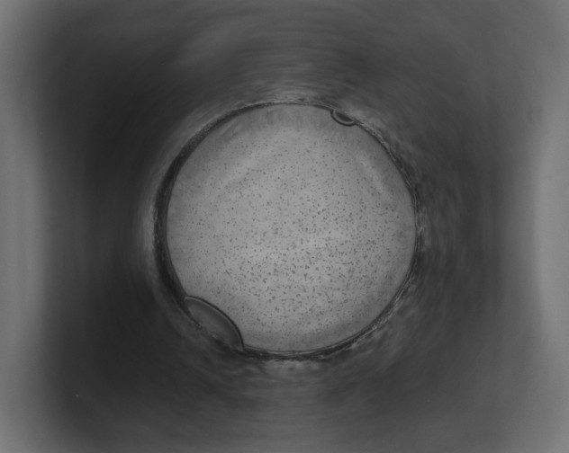 X0000100370242200806271450