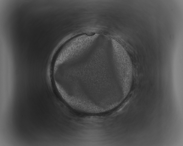 X0000100370244200806271450