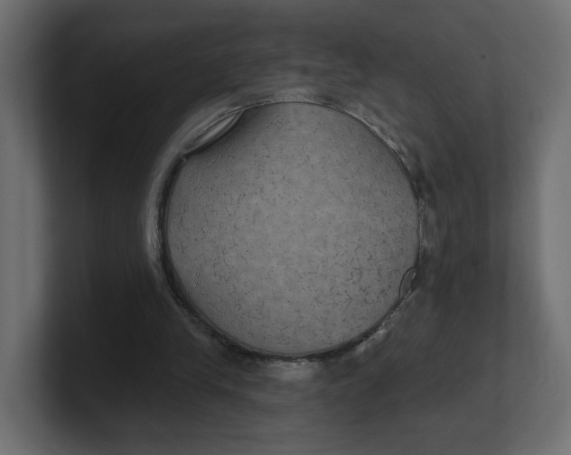 X0000100370245200806271450