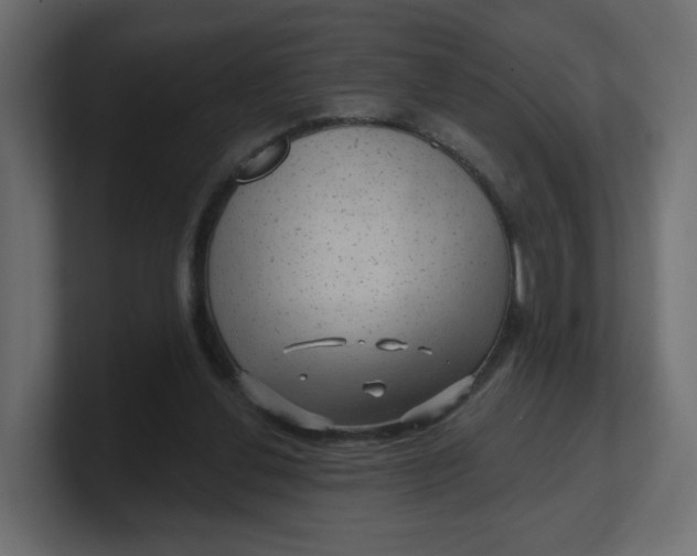 X0000100370252200806271450