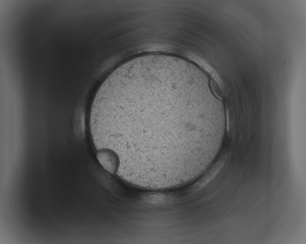 X0000100370253200806271450