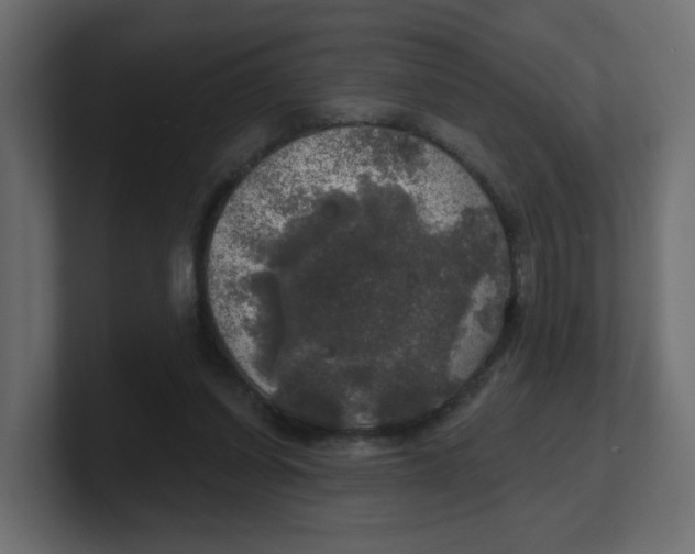 X0000100370254200806271450