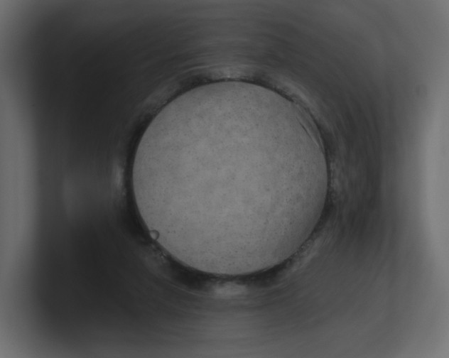 X0000100370258200806271450