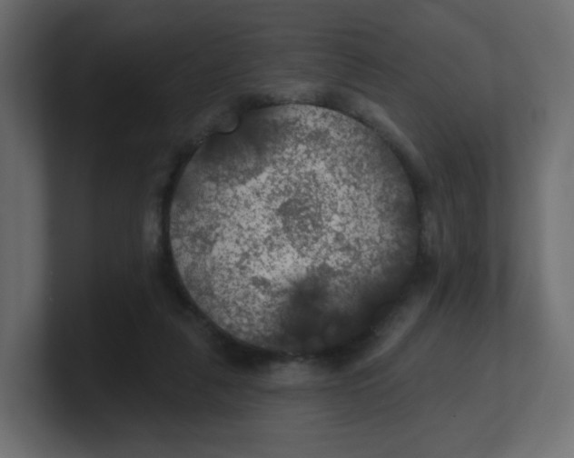 X0000100370259200806271450